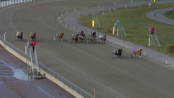 Läckra Lisa bara bäst