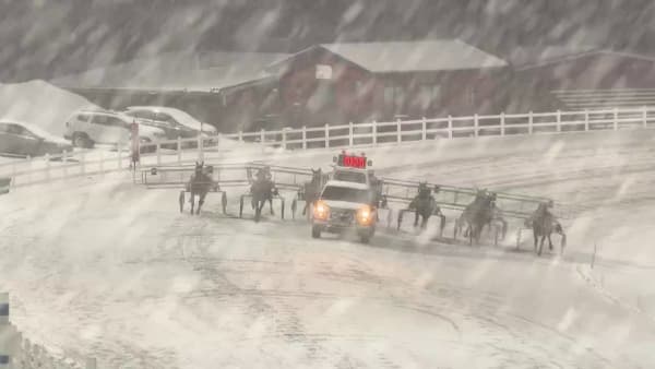 Colonello vinner på Färjestad