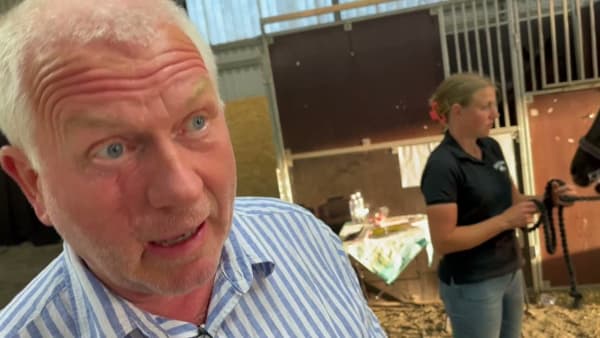 "Det är en jäkla fin häst"