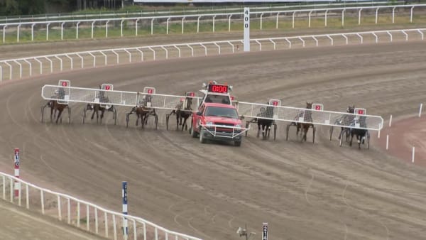 Nugget Zon från start till mål