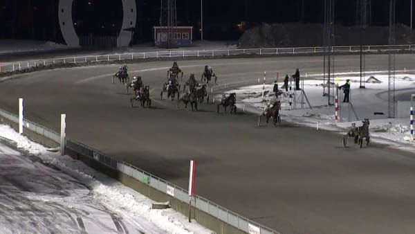 Don Viking glänste i Hästägarkannan