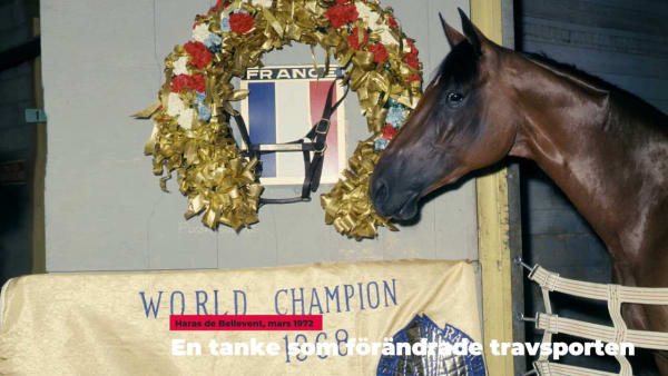 Ur akrivet: En tanke som förändrade travsporten