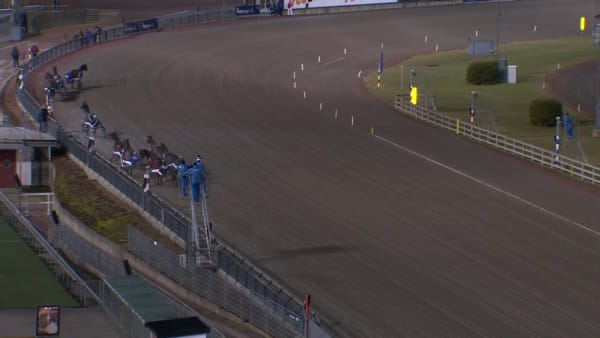Global Futurity obesegrad