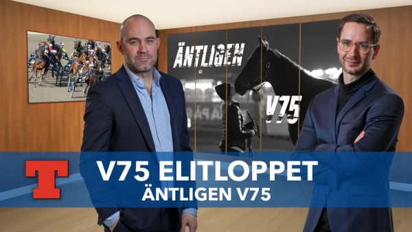 V75 tips Elitloppet | Äntligen V75 - Gocciadoro: "Kommer ge allt"