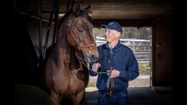 Stig H Johansson rankar sina vinnare av Elitloppet