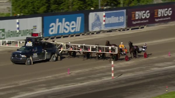 Stoeliten under elitloppslördagen 2021