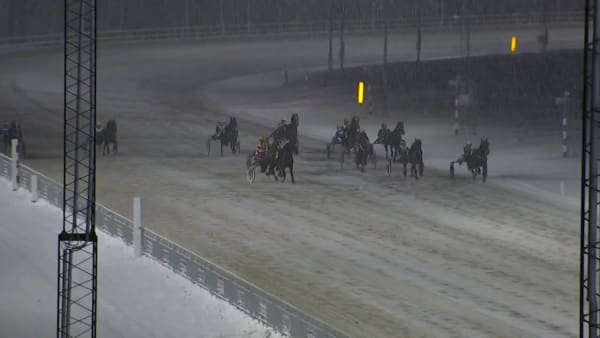 Ulvsåsen vinner från dödens