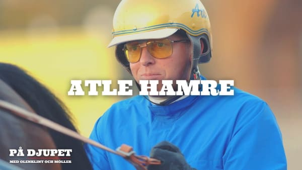 På djupet: Atle Hamre inför Elitloppet