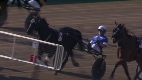 Crown Wise As vinner under elitloppshelgen (TV-bilder från ATG)