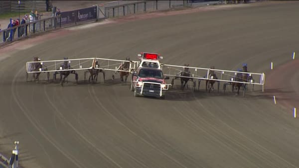 Calamari vinner från dödens 