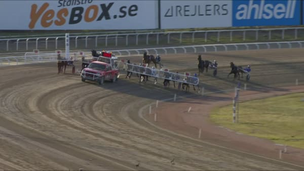 L.C. Peterson-Broddas Minne 2023