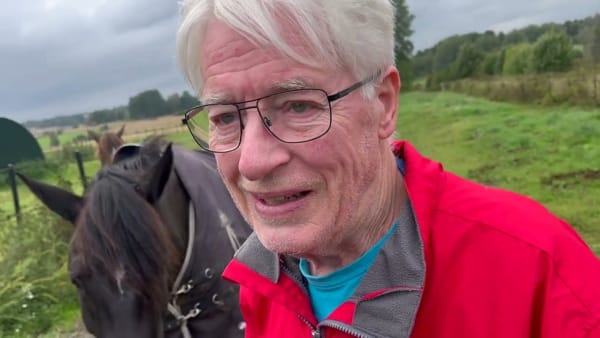 Leif Jonsson har två hästar med i sto-SM.