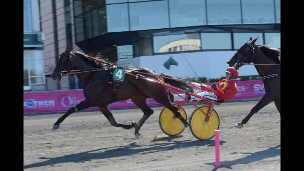 Hell Bent For Am pulveriserade motståndet i Treåringseliten