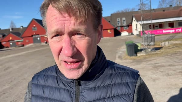 Avelsvärderingen på Solvalla.