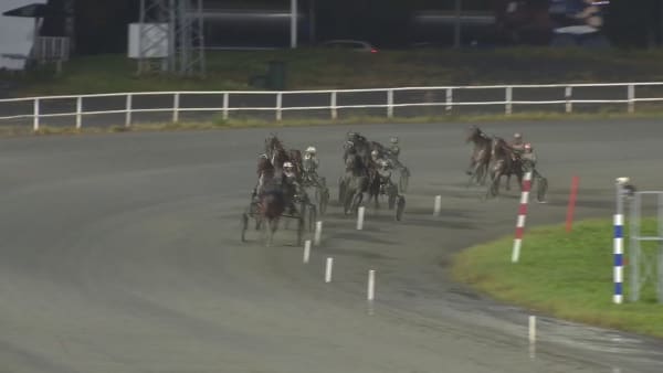 Catch The Hook vinner Mäster Gustafs Pokal