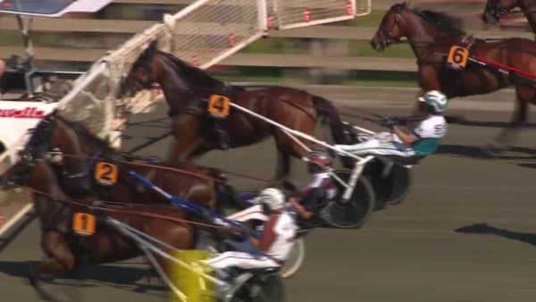 Kinglet Bird vinner Stochampionatet 2024.