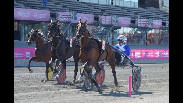 Här slår Ecurie D. svenskt rekord i tionde raka segern