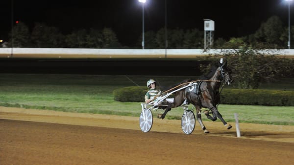 Foto: Adam Ström/Stalltz.se