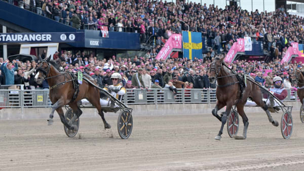 Foto: LARS JAKOBSSON / TR BILD