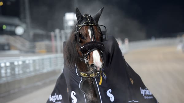 Foto: LARS JAKOBSSON / TR BILD