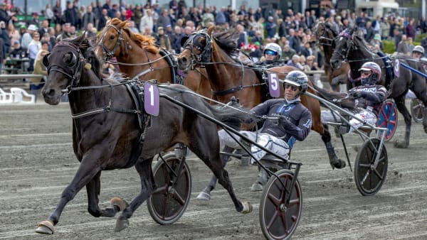 Foto: BURT SEEGER
