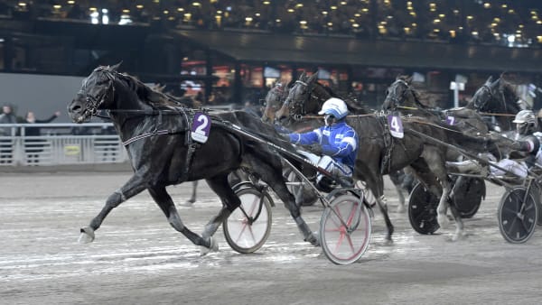 Foto: LARS JAKOBSSON / TR BILD