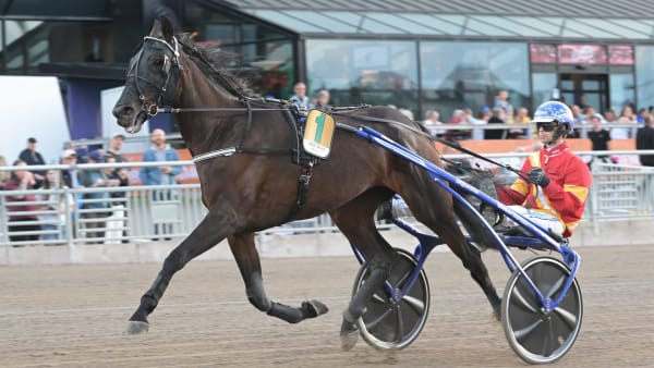 Foto: LARS JAKOBSSON / TR BILD