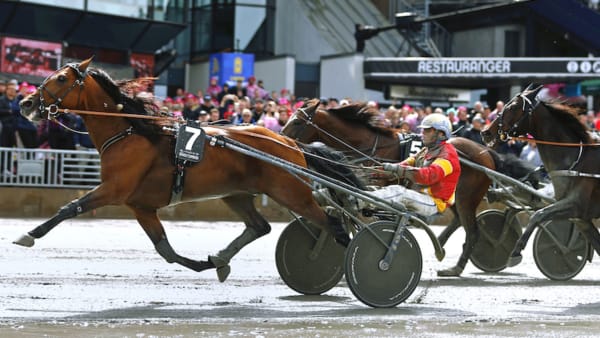 Foto: Maria Holmén/TR Bild