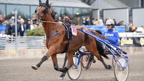 Foto: Lars Jakobsson/TR Bild