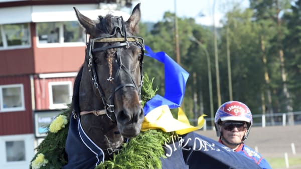 Zitor satte nytt svenskt rekord · Senaste nyheterna om trav · Travronden