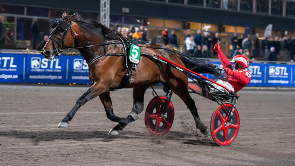 Foto: MIKAEL ROSENQUIST / TR BILD