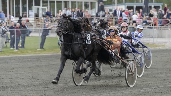 Foto: LENA EMMOTH / TR BILD