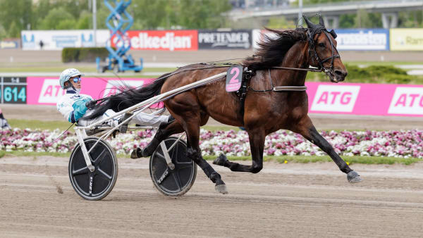 Foto: LENA EMMOTH / TR BILD