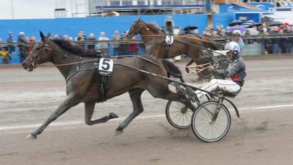 Foto: Tommy Andersson/ALN