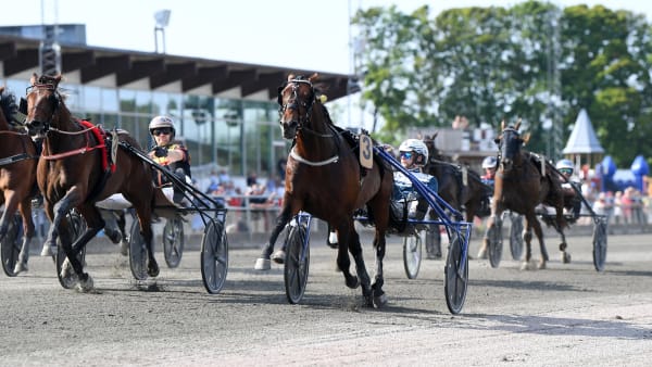 Foto: MALIN ALBINSSON / TR BILD