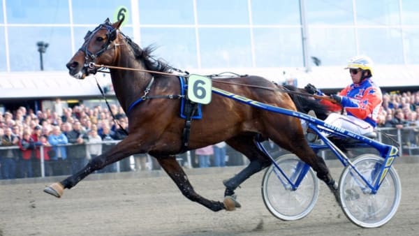 Foto: Mia Törnberg/TR BILD