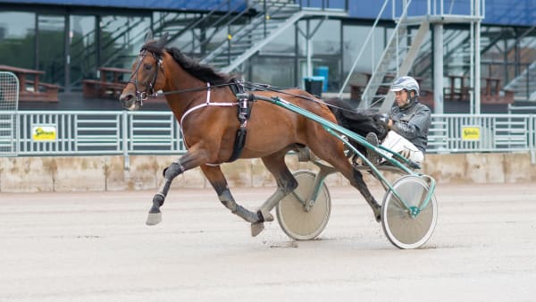 Foto: Emine Lundsten