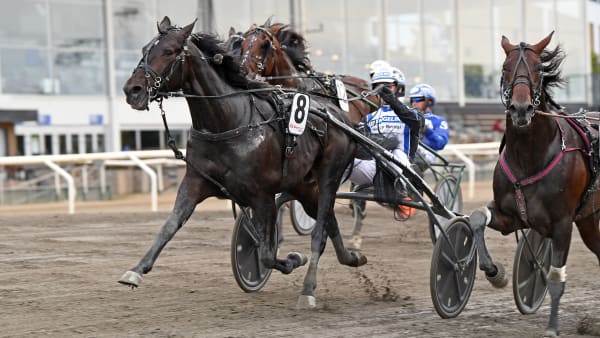 Foto: MALIN ALBINSSON / TR BILD