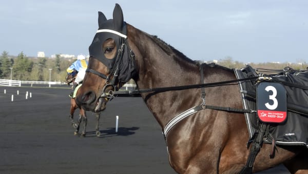 Foto: LARS JAKOBSSON / TR BILD