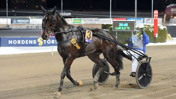 Foto: LARS JAKOBSSON / TR BILD