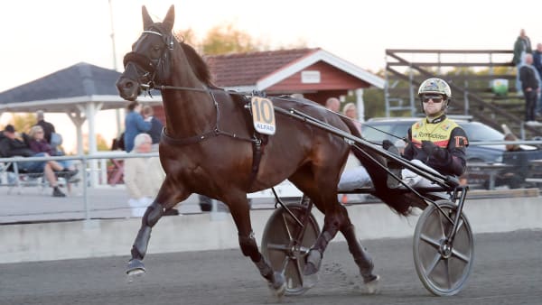 Foto: LARS JAKOBSSON / TR BILD