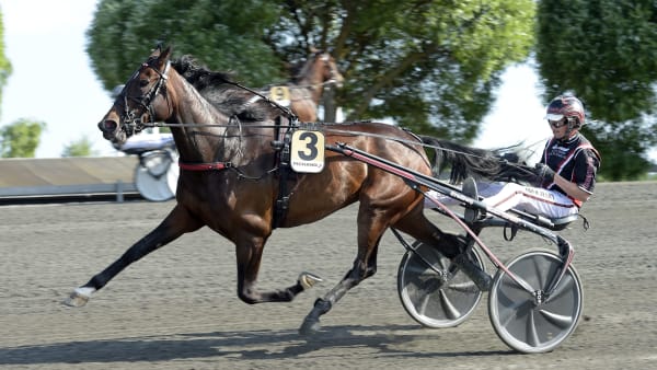 Foto: LARS JAKOBSSON / TR BILD