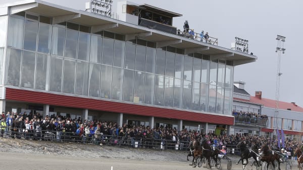 Foto: MICKE GUSTAFSSON / TR BILD