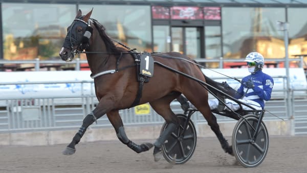 Foto: LARS JAKOBSSON / TR BILD