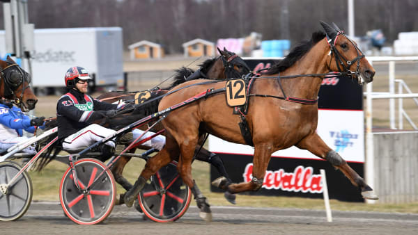 Foto: MALIN ALBINSSON / TR BILD