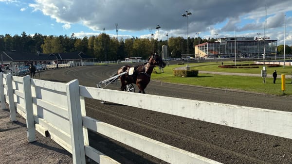 Foto: PETRI JOHANSSON