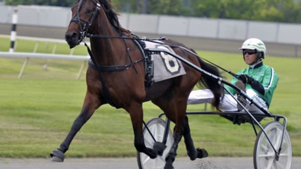 Foto: Stefan Melander/stalltz.se