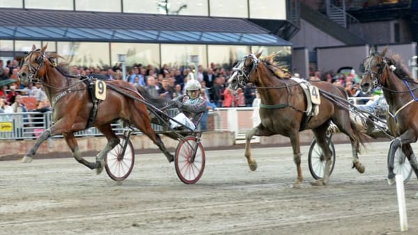 Foto: LARS JAKOBSSON/KANAL75