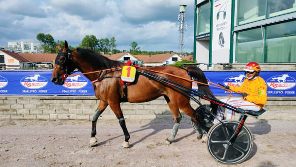 Foto: LUCAS ERICSSON/TR BILD