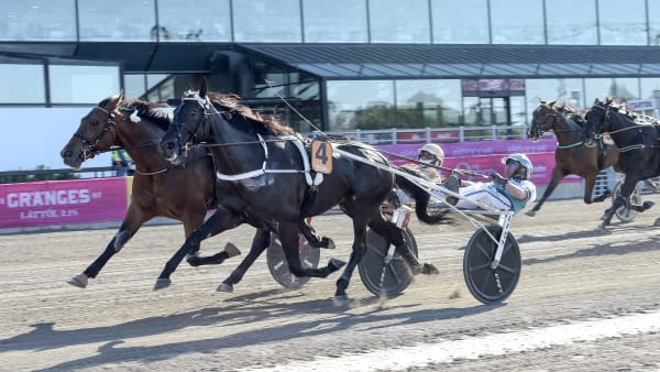 Foto: LARS JAKOBSSON / TR BILD